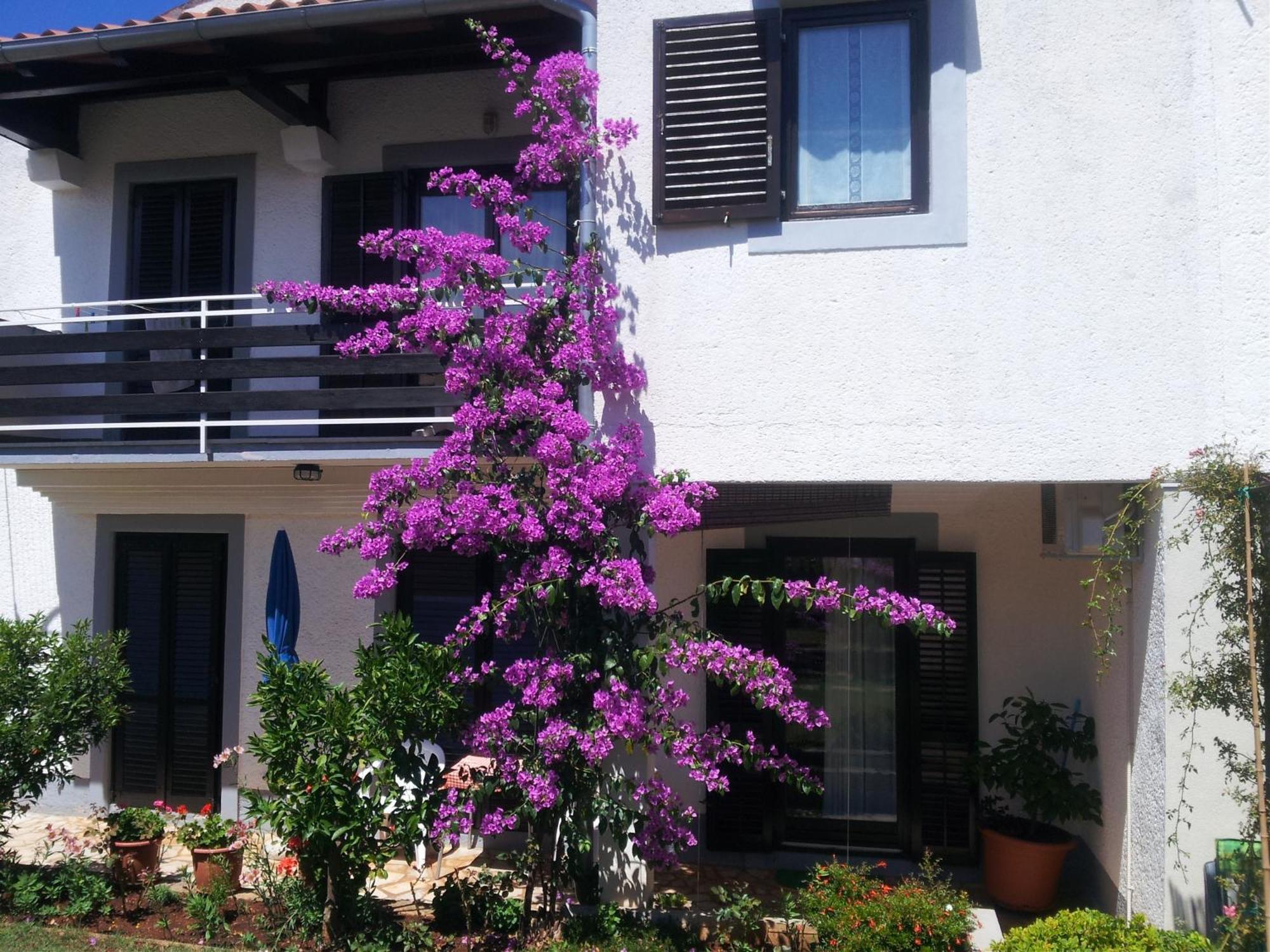 Apartments Barac Porec Luaran gambar