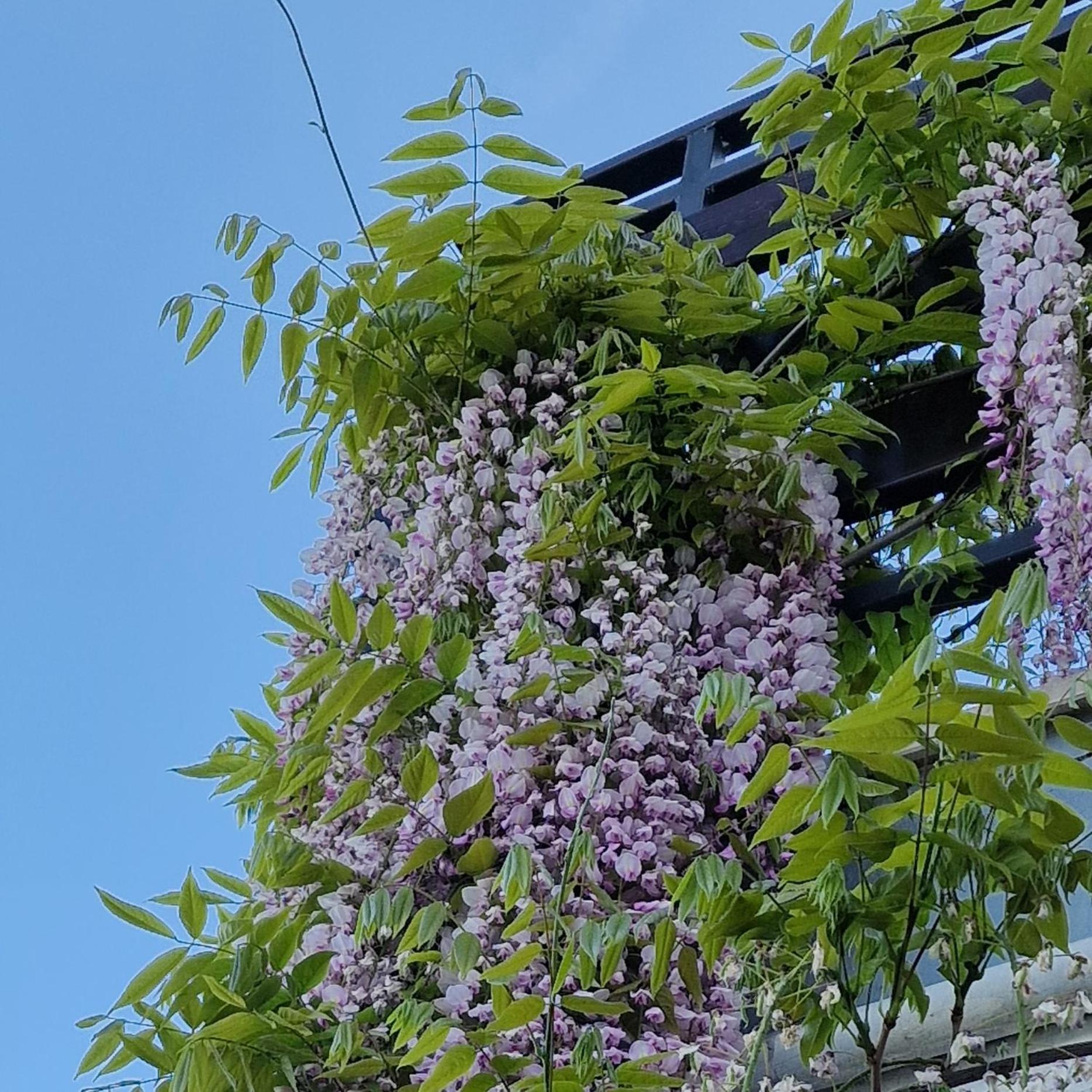 Apartments Barac Porec Luaran gambar